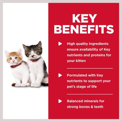 Kitten Tender Chicken Dinner Wet Cat Food, 5.5-oz can, case of 24