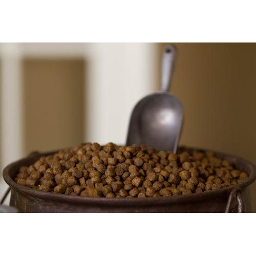 Alimento seco para perros Sensi Bites con receta de harina de pavo, bolsa de 13 lb