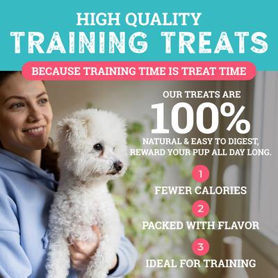 Sit! Training Treats Bacon Recipe Dog Treats, 1-lb bag