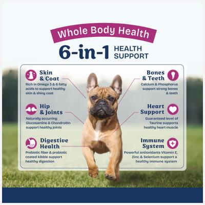 Health Protection Small Breed Adult Real Chicken, Brown Rice & Pumpkin Dry Dog Food, 12-lb bag