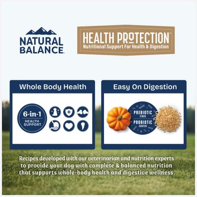 Health Protection Small Breed Adult Real Chicken, Brown Rice & Pumpkin Dry Dog Food, 12-lb bag