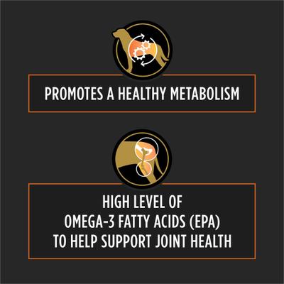 OM Metabolic Response Plus Joint Mobility Dry Dog Food, 6-lb bag