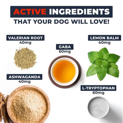 Calming Aid Soft & Chewy Supplement for Dogs, 4.2-oz jar, 60 count