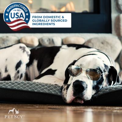 Calming Aid Soft & Chewy Supplement for Dogs, 4.2-oz jar, 60 count