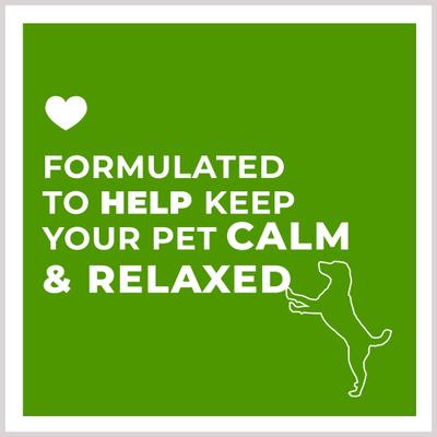 Calming Aid Soft & Chewy Supplement for Dogs, 4.2-oz jar, 60 count