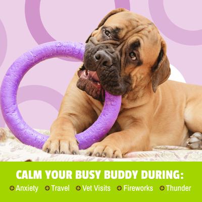 BusyButter Extra Strength Peanut Butter Flavored Paste Calming Supplement for Dogs, 6-oz pouch