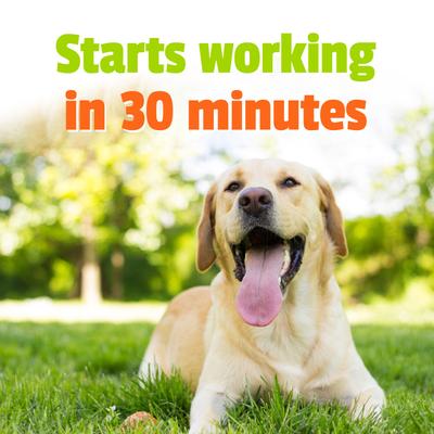 BusyButter Extra Strength Peanut Butter Flavored Paste Calming Supplement for Dogs, 6-oz pouch