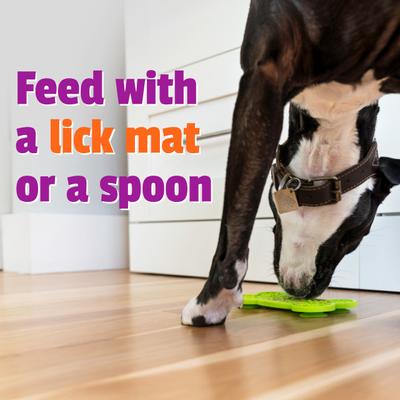 BusyButter Extra Strength Peanut Butter Flavored Paste Calming Supplement for Dogs, 6-oz pouch