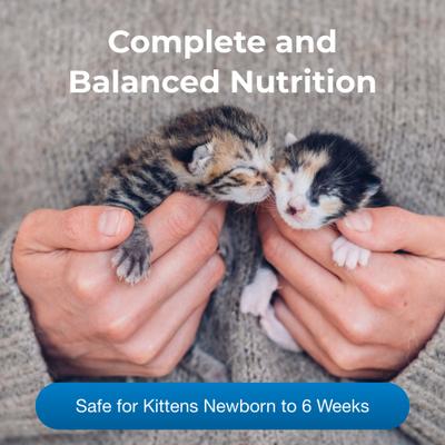PetLac Kitten Milk Replacement Powder for Kittens, 10.5-oz can