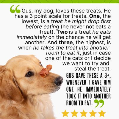 Chicken Jerky Curls Dog Treats, 16-oz bag