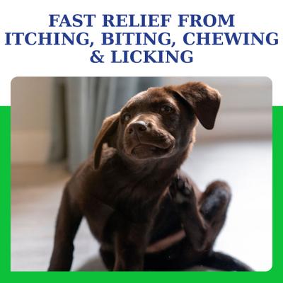 AtopiCream HC Hydrocortisone Leave-On Dog & Cat Conditioner/Lotion, 8-fl oz bottle