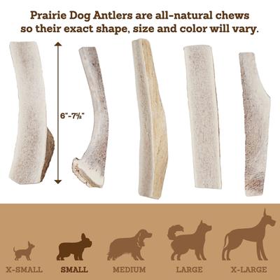 Split Elk Antler Dog Chews, 6 - 7.5 inch