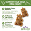 by Wellness Hedgehog Dental Chews Natural Grain-Free Dental Dog Treats, Large, 6 count