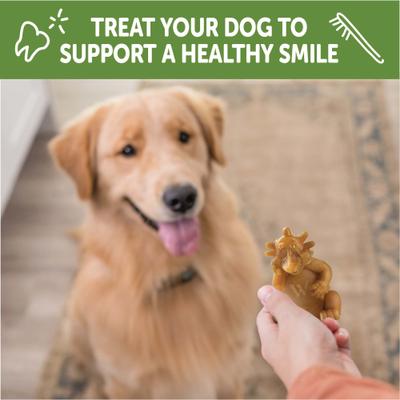 by Wellness Hedgehog Dental Chews Natural Grain-Free Dental Dog Treats, Large, 6 count