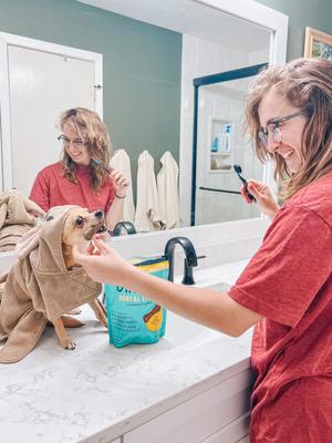 Dog Dental Chew Treat, X-Small, 38 count