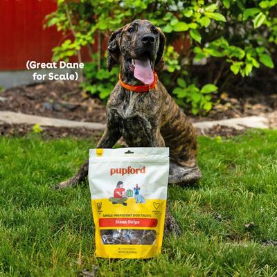 Steak Strips Beef Limited Ingredient Jerky Dog Treats, 10-oz bag