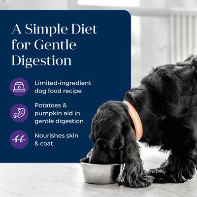 Basics Skin & Stomach Care Grain-Free Turkey & Potato Senior Canned Dog Food, 12.5-oz, case of 12