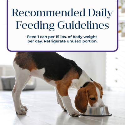 Basics Skin & Stomach Care Grain-Free Turkey & Potato Senior Canned Dog Food, 12.5-oz, case of 12