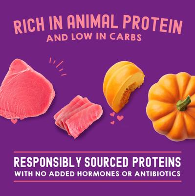 Carnivore Cravings Tuna & Pumpkin Flavored Shredded Wet Cat Food, 2.8-oz pouch, case of 24