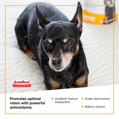 Golden Years Chicken Flavor Clear & Bright Chew Supplement for Dogs, 60 count