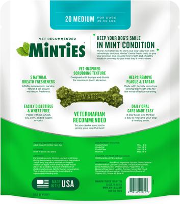 Medium Mint Flavored Dental Treats for Dogs, 25-50 lbs, 16-oz, 20 count