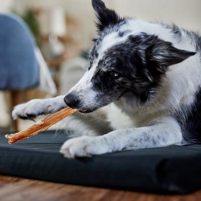 Beef Tendons Dog Treats, 16-oz bag