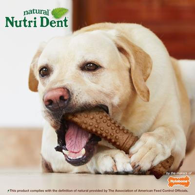 Nutri Dent Filet Mignon Flavored Dog Dental Chews, X-Large