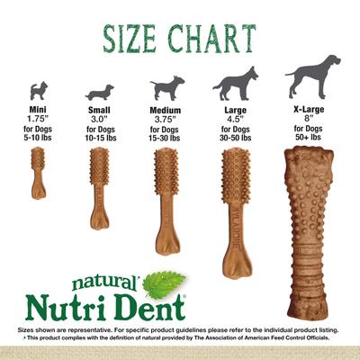 Nutri Dent Filet Mignon Flavored Dog Dental Chews, X-Large