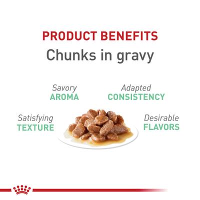 Feline Care Nutrition Digestive Care Adult Chunks in Gravy Pouch Cat Food, 3-oz, case of 12