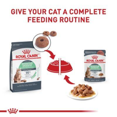 Feline Care Nutrition Digestive Care Adult Chunks in Gravy Pouch Cat Food, 3-oz, case of 12