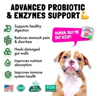 Natural Digestive Enzymes Chicken Flavored Chews Probiotic Supplement for Adult Dogs, 30 count