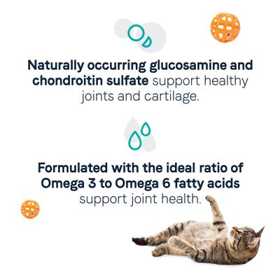 Goodness for Joints Real Salmon Adult Dry Cat Food, 10-lb bag