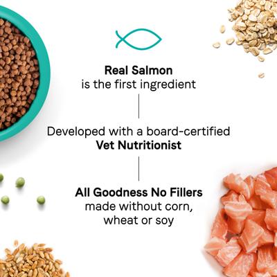 Goodness for Joints Real Salmon Adult Dry Cat Food, 10-lb bag