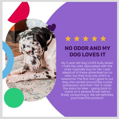 No Stink! Free Ranger Beef Bully Stix Grain-Free Dog Chews, 6-in, 5 pack