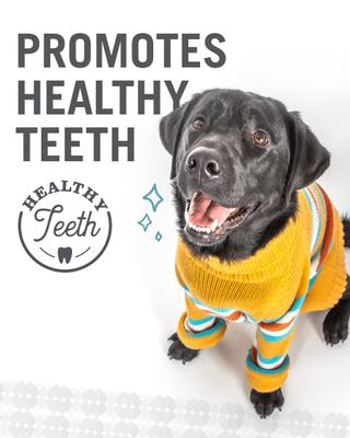 No Stink! Free Ranger Beef Bully Stix Grain-Free Dog Chews, 6-in, 5 pack