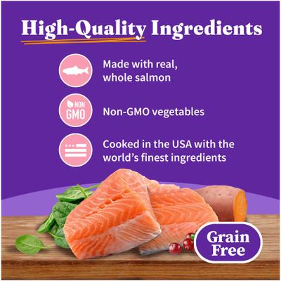 Salmon Recipe Pate Grain-Free Indoor Cat Canned Cat Food, 5.5-oz, case of 12