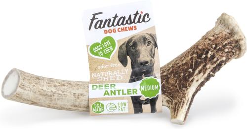 Deer Antler Dog Treat, Medium