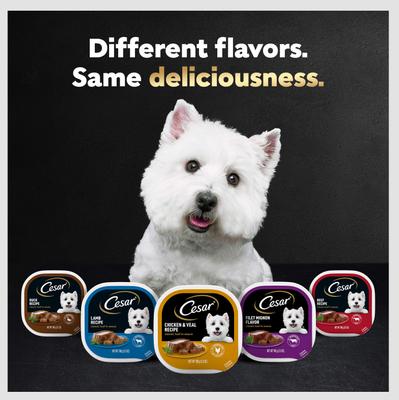 Breakfast Classic Loaf in Sauce Variety Pack Small Breed Adult Wet Dog Food Trays, 3.5-oz, case of 12