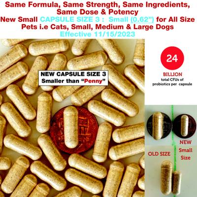 Azovast Plus Capsule Kidney Supplement for Dogs & Cats, 120 count