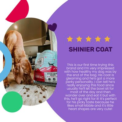 Naked Essentials Ancient Grain Beef and Lamb Recipe Dry Dog Food, 23-lb bag