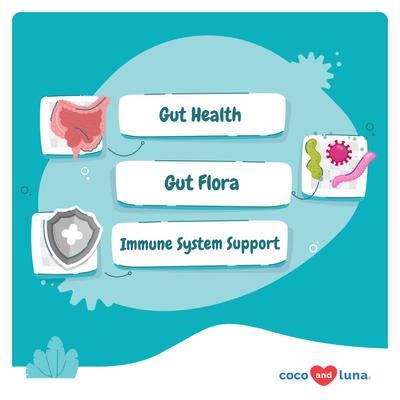 Coco and Luna Probióticos masticables suaves para perros, suplemento para la diarrea y los gases, 90 unidades