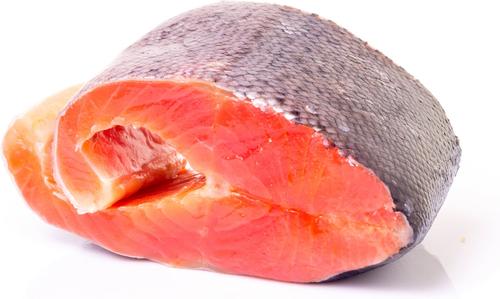 Thinkers Salmon Recipe Single Dog Treat, 1 count