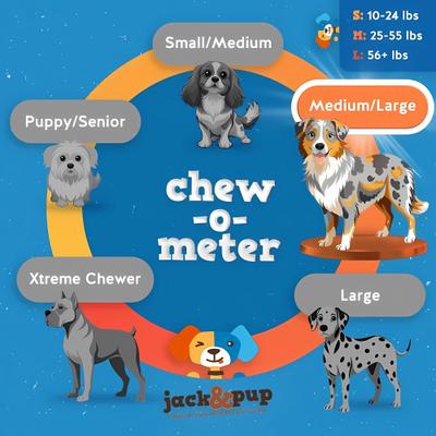 Odor Free 12" Natural Beef Bully Stick, 1-lb bag