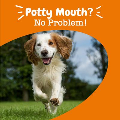 Ancient Elements Chew No Poo, sabor Bisonte para Perro, (disuadir coprofagia) 90 chews.