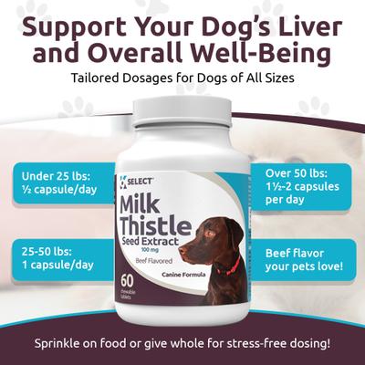 Beef Flavored Milk Thistle Dog Liver Supplement, 60 count