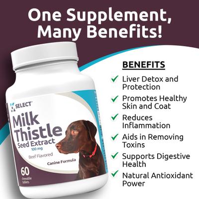 Beef Flavored Milk Thistle Dog Liver Supplement, 60 count