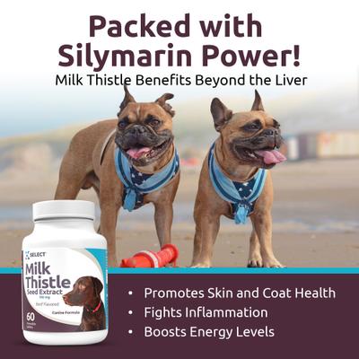 Beef Flavored Milk Thistle Dog Liver Supplement, 60 count