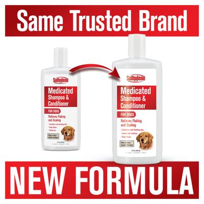Medicated Dog Shampoo & Conditioner, 12-fl oz