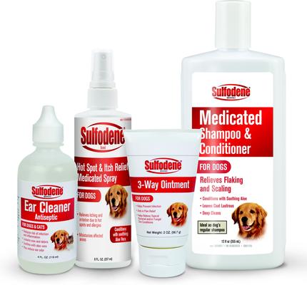 Medicated Dog Shampoo & Conditioner, 12-fl oz