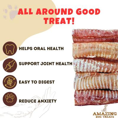 Beef Trachea 6-inch Dog Treats, 5 count